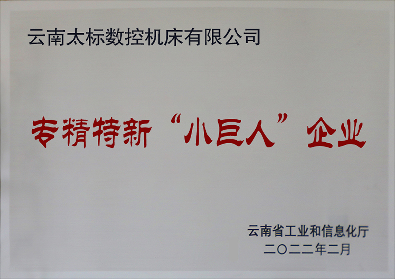 专精特新小巨人